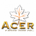 acer logo